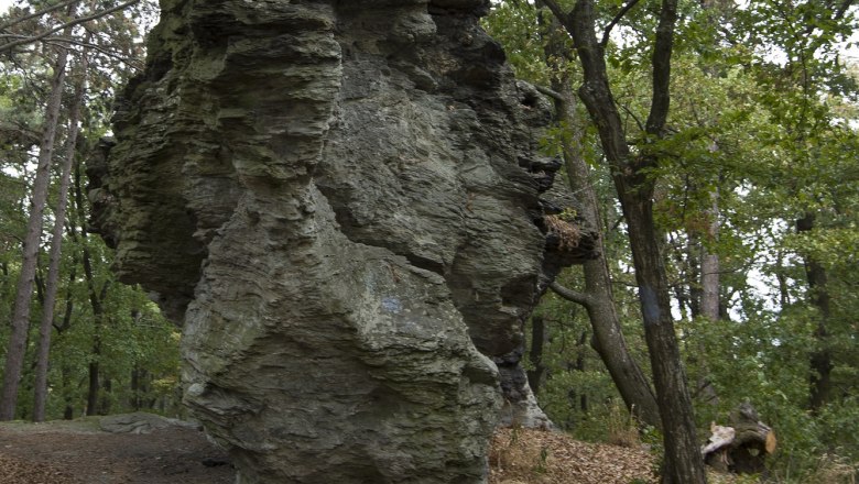 Großer Felsen in einem bewaldeten Gebiet mit Laubbäumen., © Kalapos-kövek