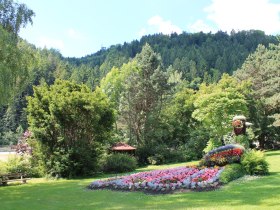 Blumenpfau in Mönichwald, Joglland-Waldheimat in der Oststeiermark, © Oststeiermark Tourismus