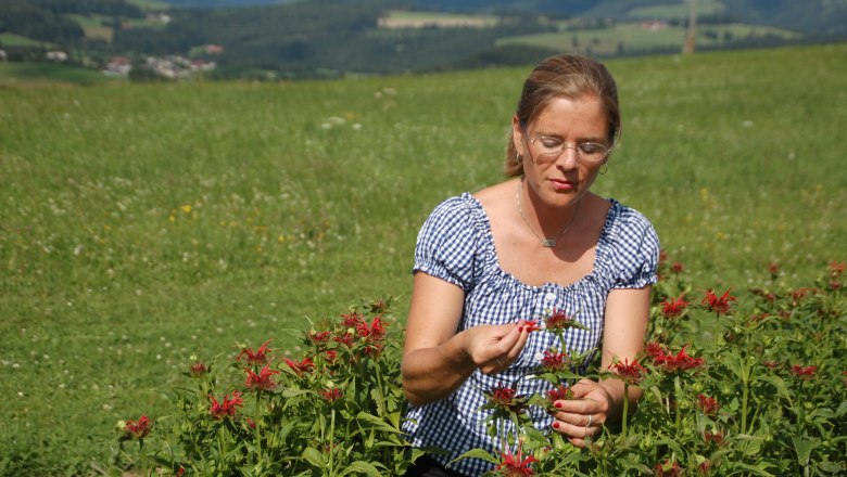 Veronikas Kräuterhof, © Veronika Dielacher