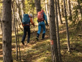 Wandern am Alpannonia Weitwanderweg, © Wiener Alpen in Niederösterreich - Alpannonia