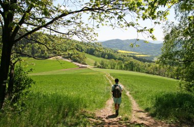 Wanderung in der Buckligen Welt, © Walter Laschober