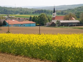 Weiden bei Rechnitz, © Walter Laschober