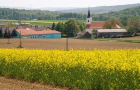 Weiden bei Rechnitz, © Walter Laschober