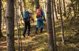 Wandern am Alpannonia Weitwanderweg, © Wiener Alpen in Niederösterreich - Alpannonia