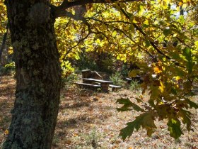 Rastplatz bei Oberpodgoria, © Walter Laschober