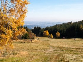 Blick von der Mönichkirchener Schwaig, © Walter Laschober