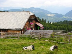 Kranichberger Schwaig, © Walter Laschober