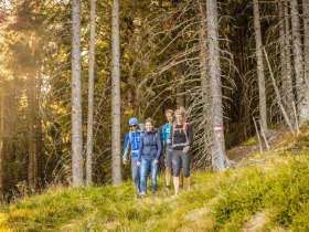 Wandern am Alpannonia Weitwanderweg, © Wiener Alpen in Niederösterreich - Alpannonia